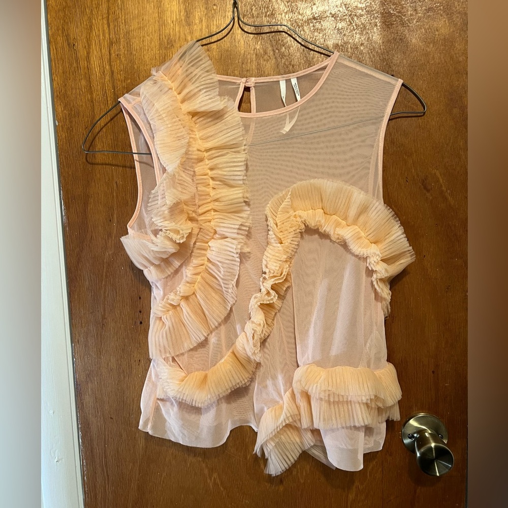 Anthropologie Tulle Ruffle Sheer Tank M